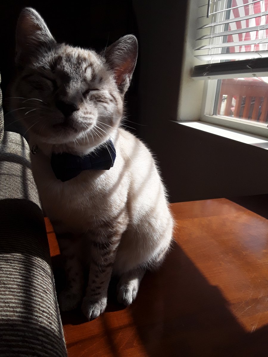 DevilxVitae tweet media