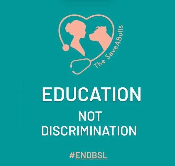Ariana_Activist's tweet photo. Don't judge a breed by the cover!
Dogs are as uniquely individual as you or I. There isn't a breed with a higher tendency to bite when threatened, & that's a FACT.
#breedism
#educationnotdiscrimination
#caninewelfare
#EndBSL https://t.co/jz0sWu4kod