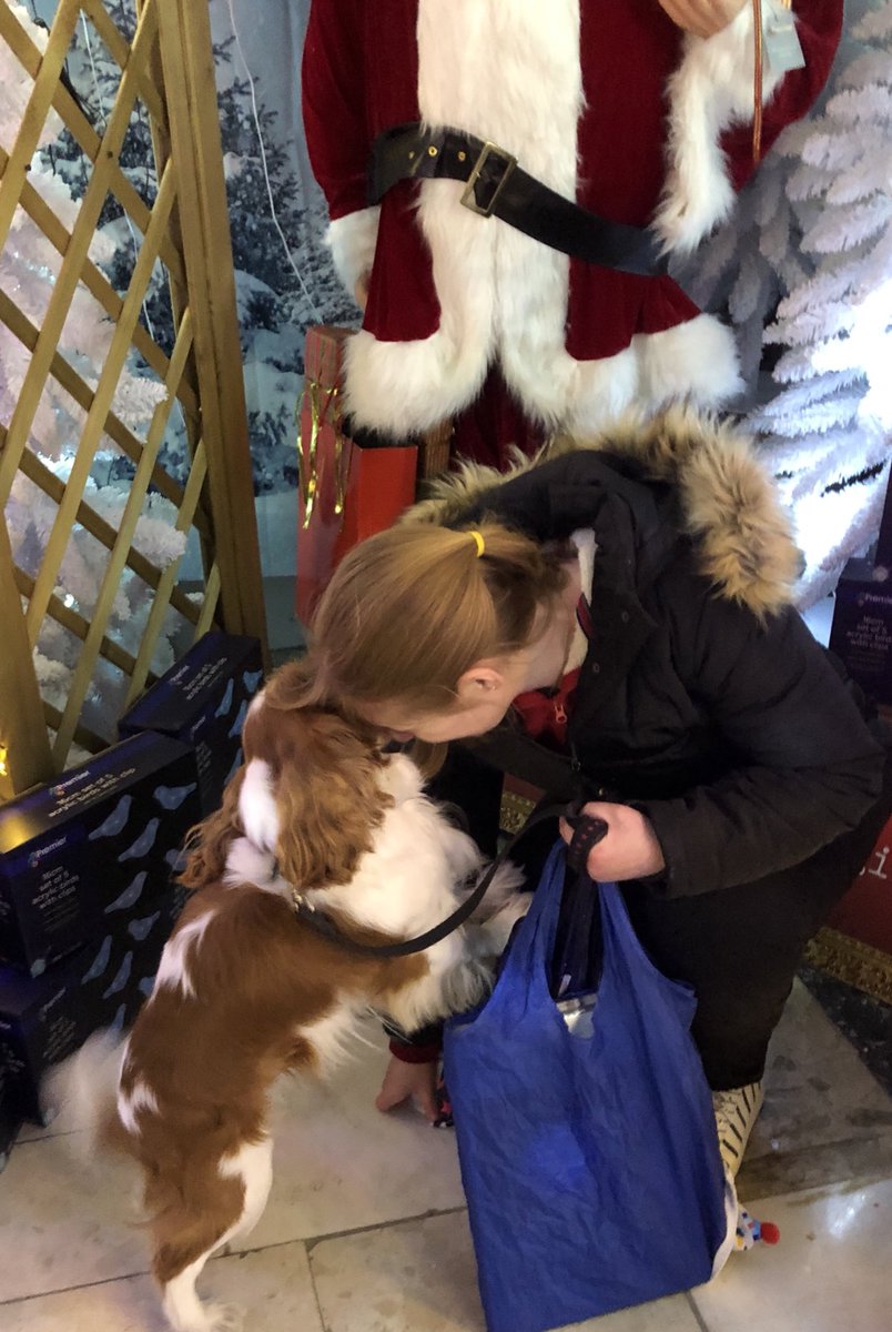 Dogsthorpe_Edu's tweet photo. Here is โEddieโ @edster_the whispering to Mrs Waters what heโs hoping #Santa will bring him for #Christmas. #MakingAList #CheckingItTwice #HeAlreadyKnows #NaughtyOrNice #HesComingToTown #CanYouStillHearTheBell? #AllAboard #TicketPlease #Dream #Believe #Shine https://t.co/t1gYWuAWga