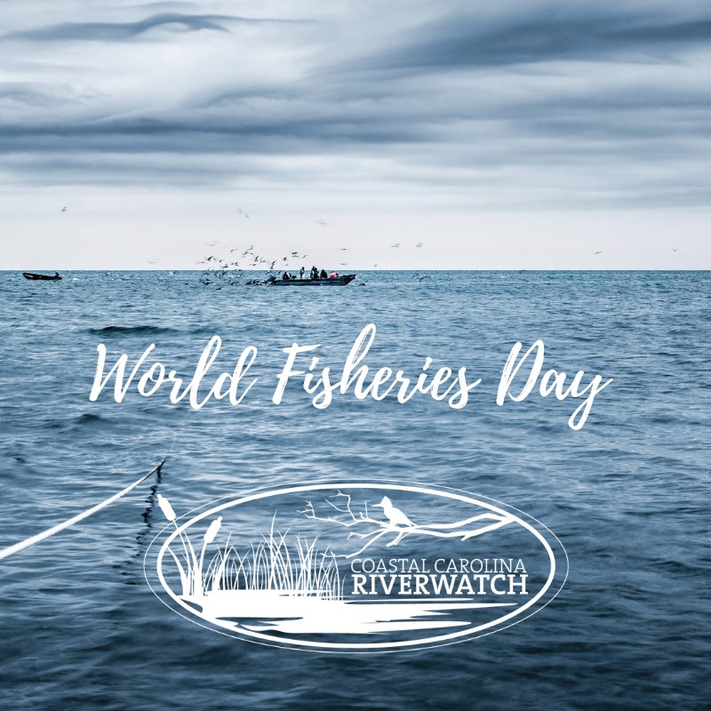 Coastal Carolina Riverwatch tweet media