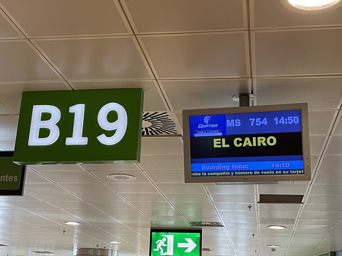 arqueoegipto's tweet photo. Here we go again #Egypt Allá vamos de nuevo #Egipto Esta vez viaje medio de trabajo y medio de placer. Toca #Cairo #Fayum y Egipto Medio #Minya ✈️ https://t.co/bewuYkWBVQ