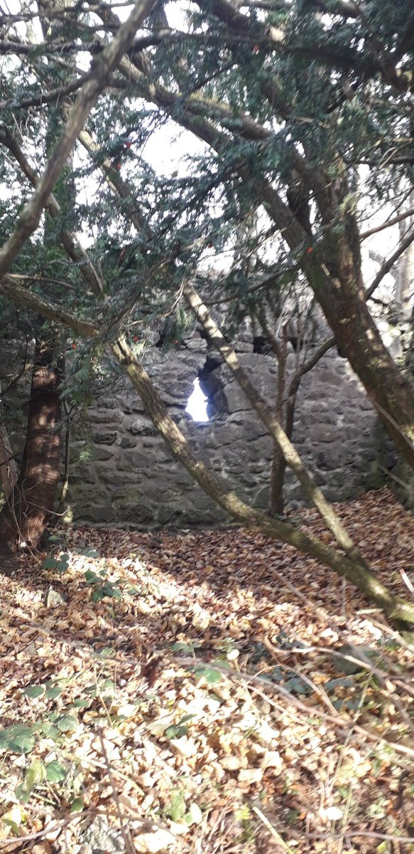 aljaroo1874's tweet photo. The reason why I manage to push out another few K to go up @CorstorphineHill on my Sunday LSR. It's a #treasuretrove of views #hiddengems
#LoveToRun #RunToLive
#wideopenspace
#headspace https://t.co/9gKUgXrd8N