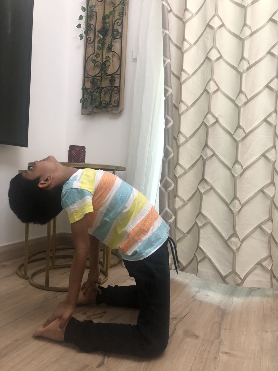 Ethan Dsa tweet media