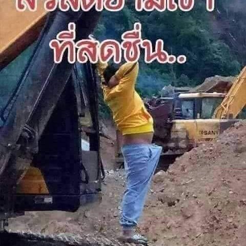 LoveSangthong's tweet photo. #NewProfilePic https://t.co/BeDSPM1lQ6