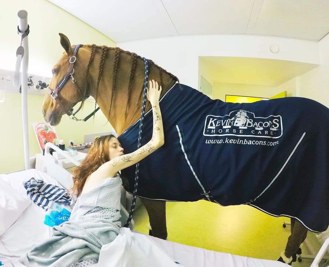 Лошадку навести навести. Доктор Пейо лошадь. Ветеринар и лошадь. Лошадь медик. Конь терапевт.