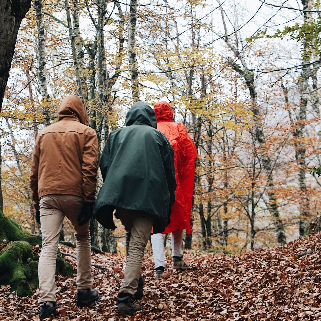 AnxietyUK's tweet photo. It's Sunday afternoon &amp; a great time to get out &amp; take in some fresh air and enjoy Autumn whilst it lasts🍂🍂. 

Mindful walking is a great anxiety antidote; really hear the leaves crunch beneath your feet as you walk in a rhythmic manner - focus on the here &amp; now. https://t.co/sdbmzJpnFB