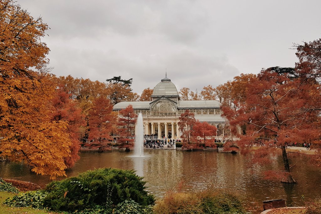 mdelgadophoto's tweet photo. En el Retiro, el otoño es pura magia 🍁❤🍂 #Felizdomingo https://t.co/1yPsE5s8El