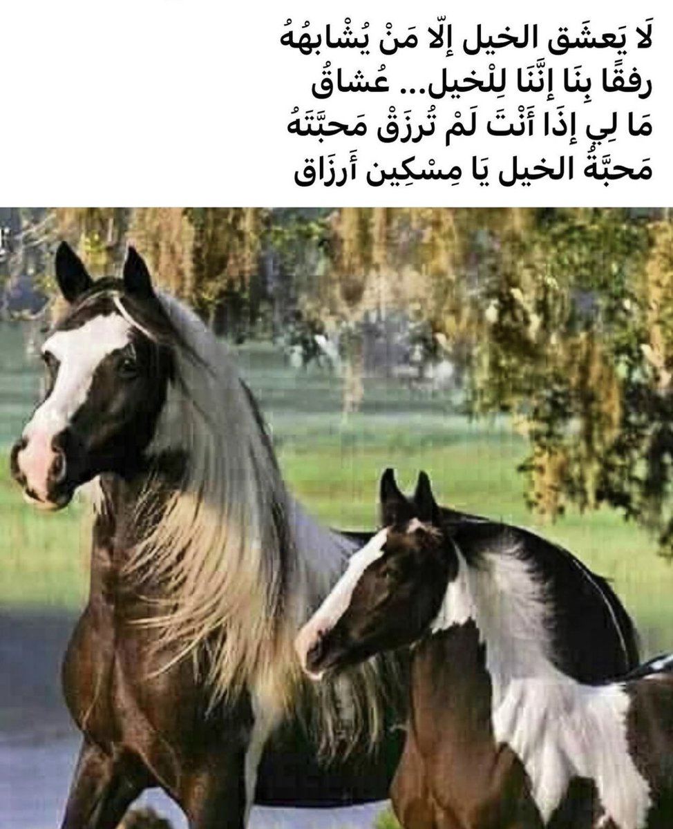 Jr1 T89s9fhh M
