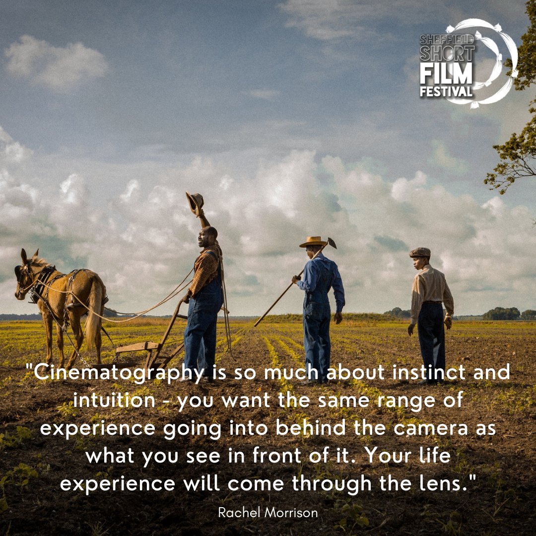 "Cinematography is so much about instinct and intuition - you want the same range of experience going into behind the camera as what you see in front of it. Your life experience will come through the lens." - Rachel Morrison