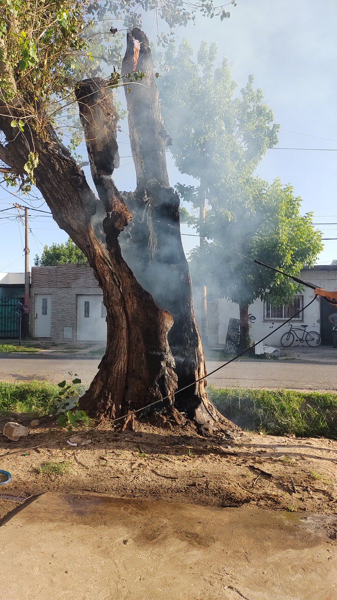 cris_lopezw's tweet photo. Rueda 6290, árbol a punto de caer en cualquier momento
@MuniRosario, @defensacivilco1, @pablojavkin @emergenciasAR https://t.co/KDaRXn8xeu