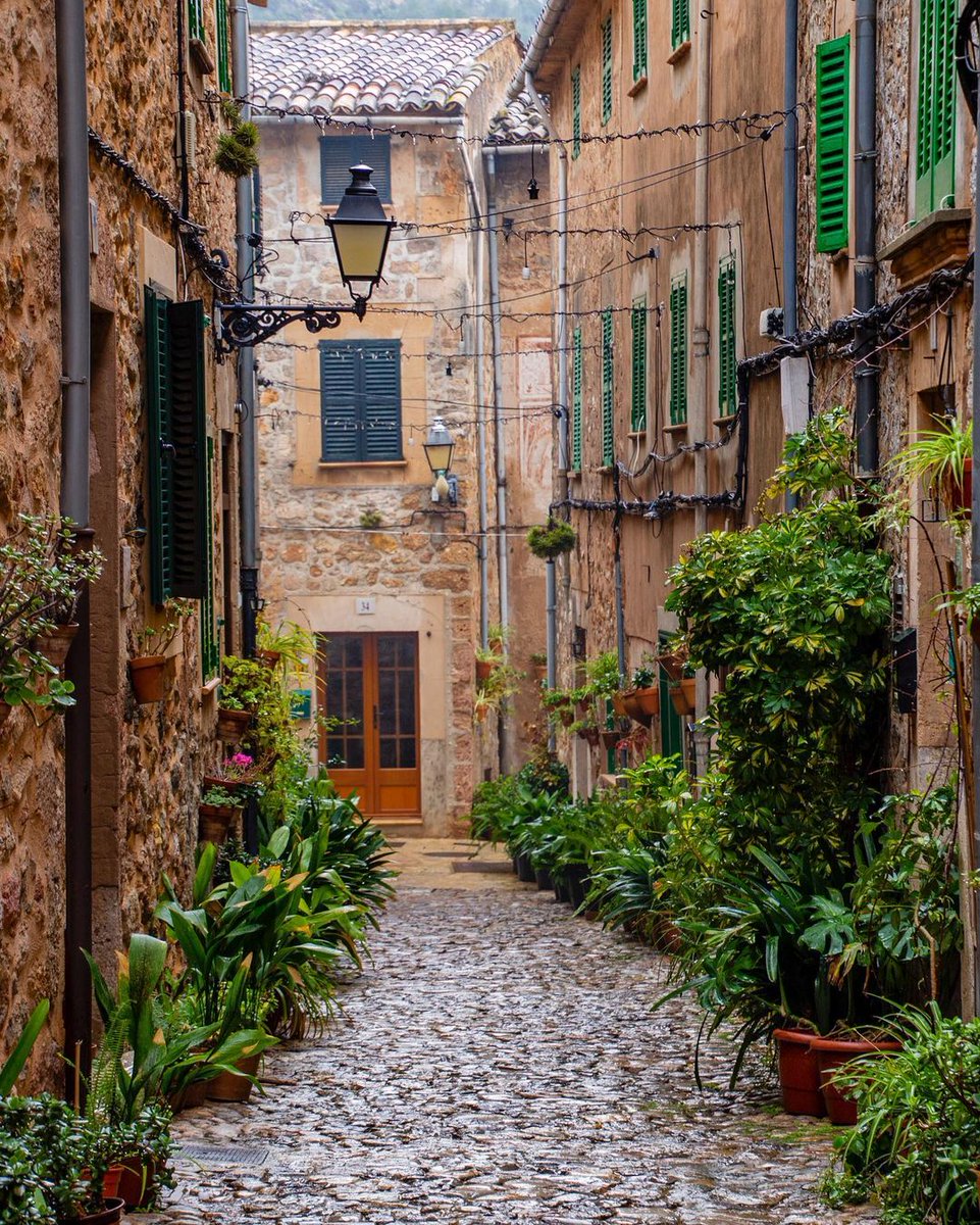 VisitValldemoss's tweet image. 🔸 La gama de colores que presenta Valldemossa es digna de admirar. 🥰

🔸 The palette of colours in Valldemossa is worthy of admiration. 🌿

🔸 La gamma de colors que presenta Valldemossa és digna d'admirar. 🥰

🔸 A paleta de cores em Valldemossa é digna de admiração. 🌿