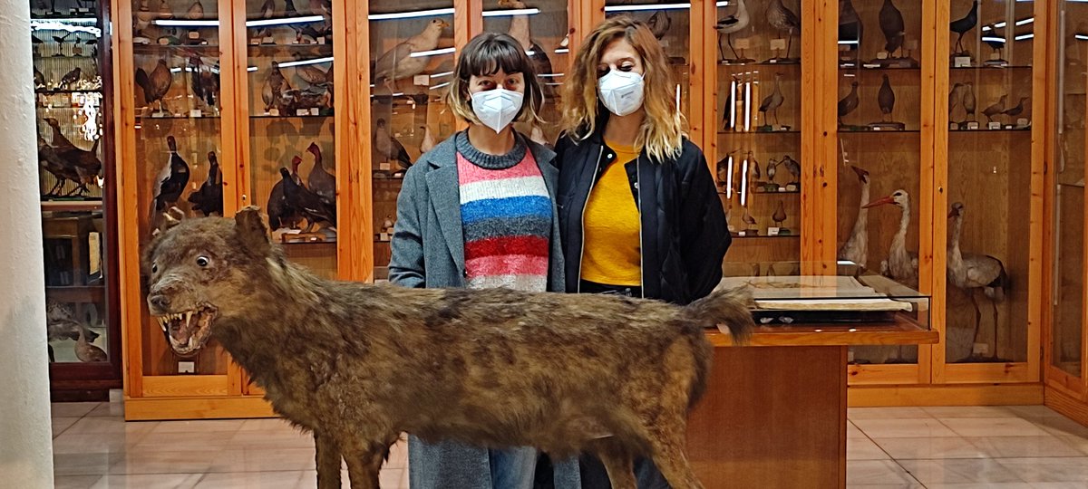 Museo Instituto Padre Suárez - Granada tweet media