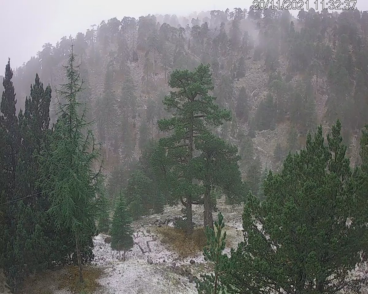 First snow at #Troodos this winter/ Some say it was only sleet/ #Trodos'lara yagan ilk kar! Bazi kisiler tipi idi diyor/ Gorenler ne diyor acaba? #Cyprus #winterplayground