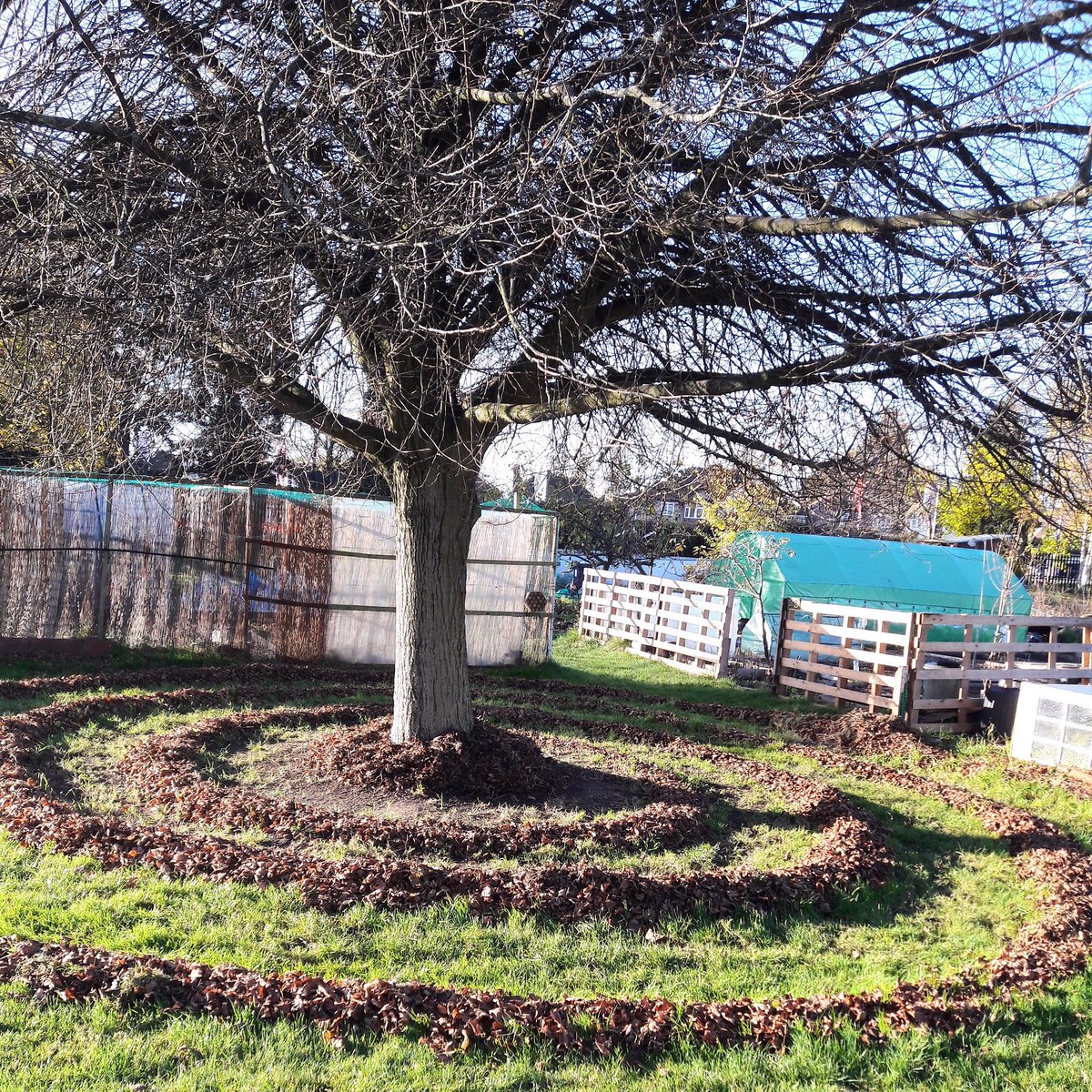 Teresinha Roberts tweet media