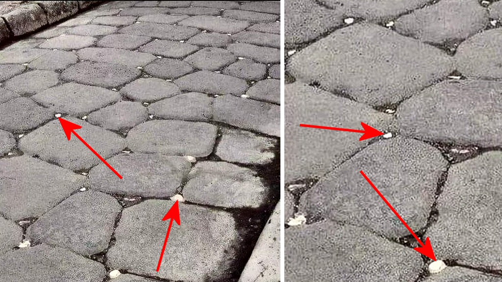 pickover's tweet photo. Engineering, physics, science, mathematics. 

In Roman times, "Tiger Eyes" (small white stones) were placed among larger stones on the road for better nighttime visibility, similar to modern road reflectors. (Magnified at right.)  Source: https://t.co/LQKg1sStz4 https://t.co/zPZdohKosN