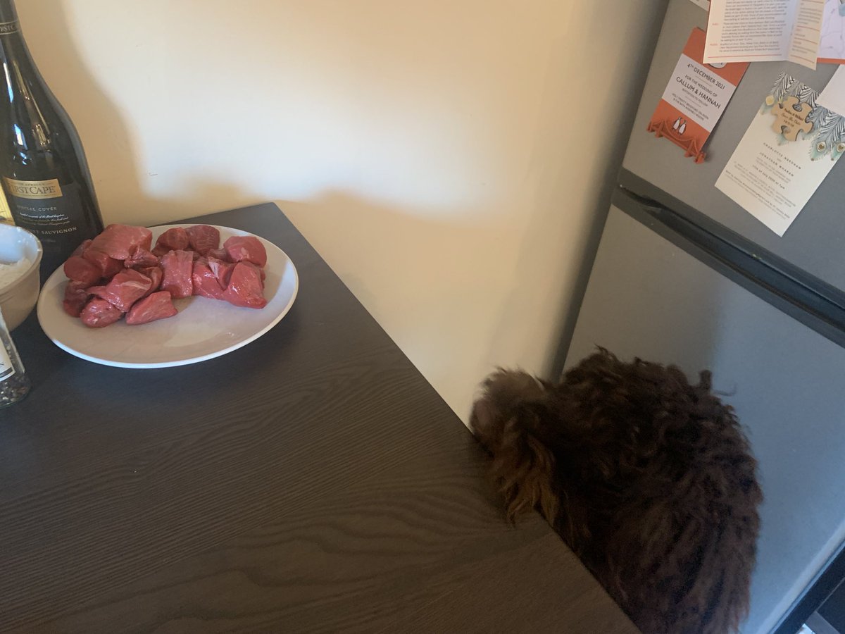 mr_jamesbeck's tweet photo. This is the SIXTH year we’ve done this but the first with our new sous chef, Otis. 

Will he be a help, or a hindrance? He already seems very keen on the beef. 

Ready? Then #LetsPie. https://t.co/c8Oa4P18pU