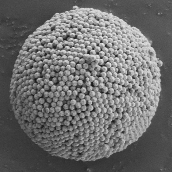 Advanced Portfolio News (@advportfolio) on Twitter photo This scanning electron microscopy image shows a sphere made from regular units of metal organic frameworks (MOFs).
These "MOF balls" can act as local, label-free temperature probes. <a href="/MRCFaustini/">Marco Faustini</a> <a href="/Civan_Avci/">Civan Avcı</a> <a href="/MariaLetizia_DM/">Maria Letizia De Marco</a>
Read the paper: ow.ly/Eh7f50GRRl5 This scanning electron microscopy image shows a sphere made from regular units of metal organic frameworks (MOFs).
These "MOF balls" can act as local, label-free temperature probes. <a href="/MRCFaustini/">Marco Faustini</a> <a href="/Civan_Avci/">Civan Avcı</a> <a href="/MariaLetizia_DM/">Maria Letizia De Marco</a>
Read the paper: ow.ly/Eh7f50GRRl5