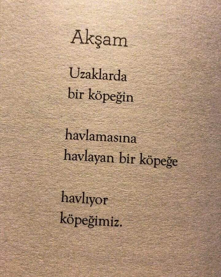 hurehnifirat's tweet photo. Per Højholt - Akşam 

#poet #poem #poesis https://t.co/ssB3a7C3wi