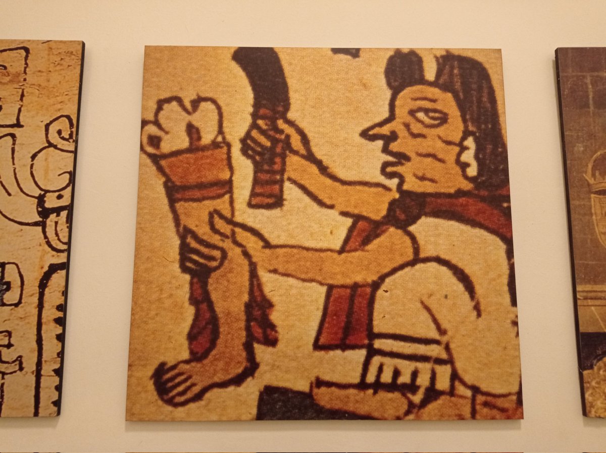 Escohotado: "Los inmensos osarios que descubren cada día los arqueólogos demuestran que los aztecas no solo sacrificaban una mediana de 50.000 personas al año, sino que se los comían. La sociedad más monstruosa que los tiempos recuerdan fue la azteca, con mucha diferencia".