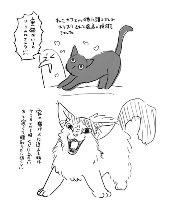 今日の日記です。 