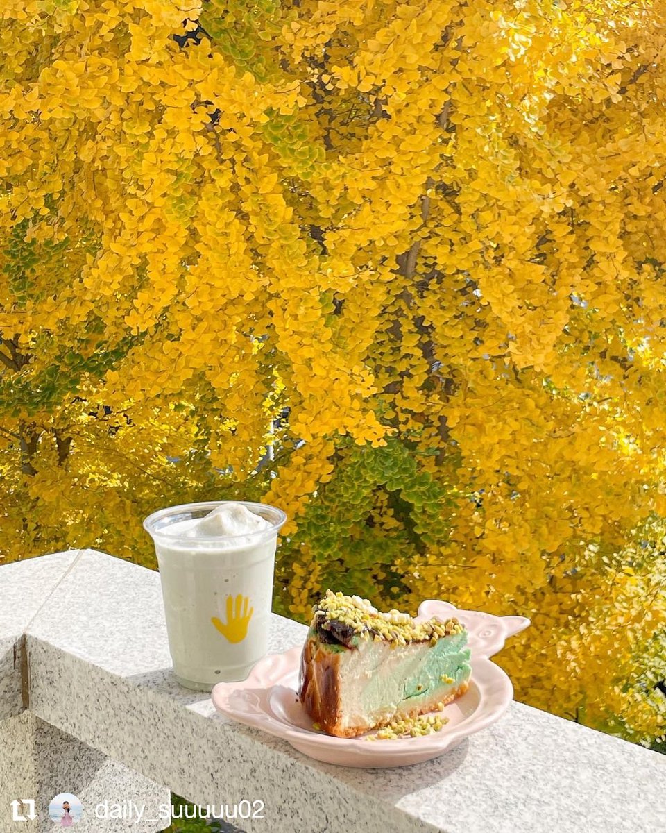 Cafe_LittleGirl's tweet photo. 🥞🍂☕ 𝚋𝚢𝚎 𝚋𝚢𝚎 𝚊𝚞𝚝𝚞𝚖𝚗〰 

〰𝚑𝚎𝚕𝚕𝚘 𝚠𝚒𝚗𝚝𝚎𝚛 🌨🎄🧦

 𓂂 𓏸

ก่อนลาฤดูใบไม้เปลี่ยนสี ꕀ แปะ 2 คาเฟ่เกาหลี ทริปบินหน้าต้องจดไว้เลย ⟢

⌂ 𝙹𝙰𝙼𝙼𝚈 𝙵𝙸𝙽𝙶𝙴𝚁 (째미핑거)
⌂ 𝚂𝚃𝙰𝙵𝙵 𝙿𝙸𝙲𝙺𝚂 (스태픽스)

@Review_korea #รีวิวเกาหลี #คาเฟ่เกาหลี #รีวิวคาเฟ่ https://t.co/hhl2i8jzyn