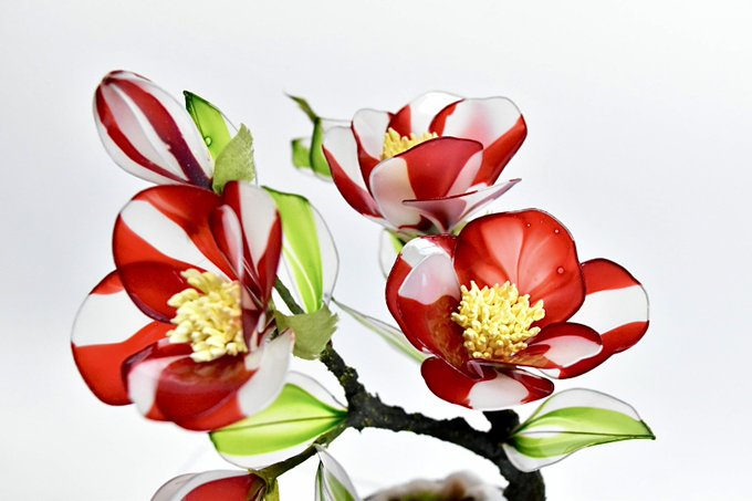 Camelliaのtwitterイラスト検索結果 古い順