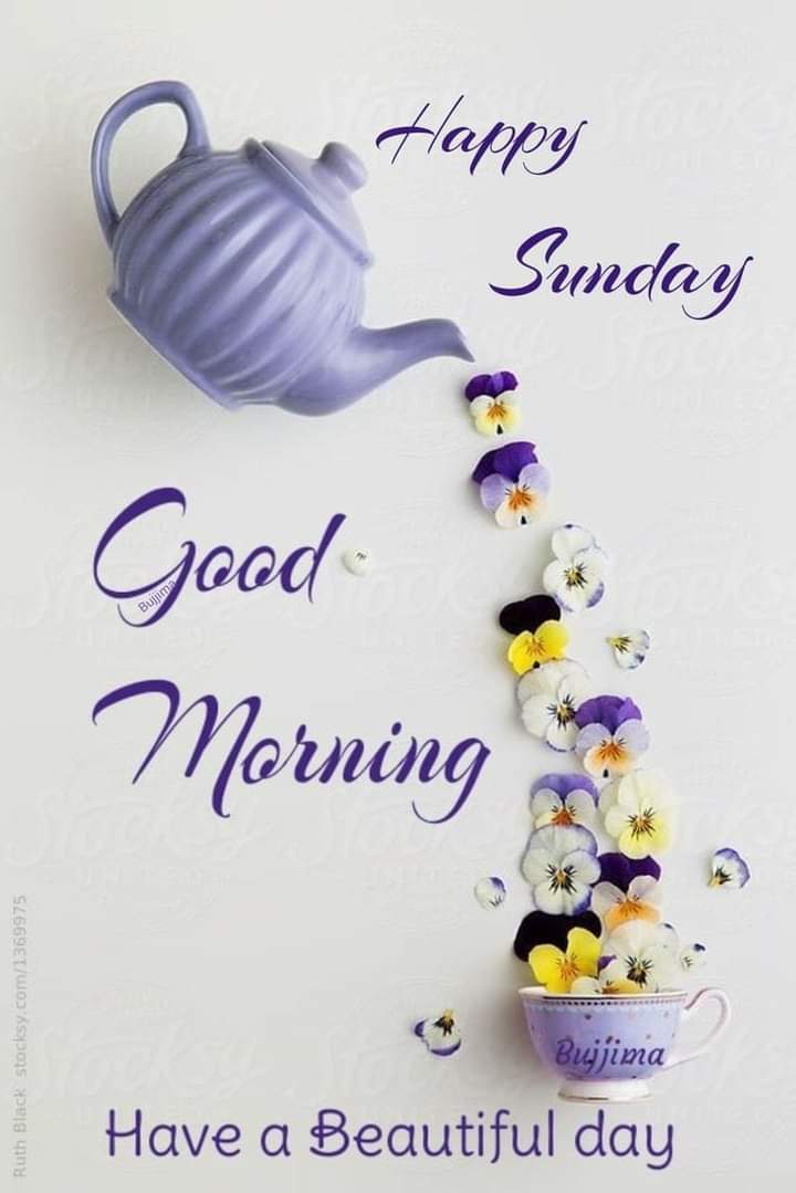 Fredia Brewster (@brewster_fredia) on Twitter photo 