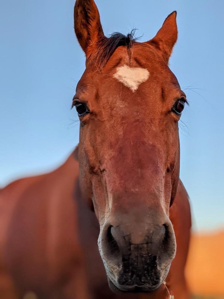 Good morning from Pocket!

📸: Macayla