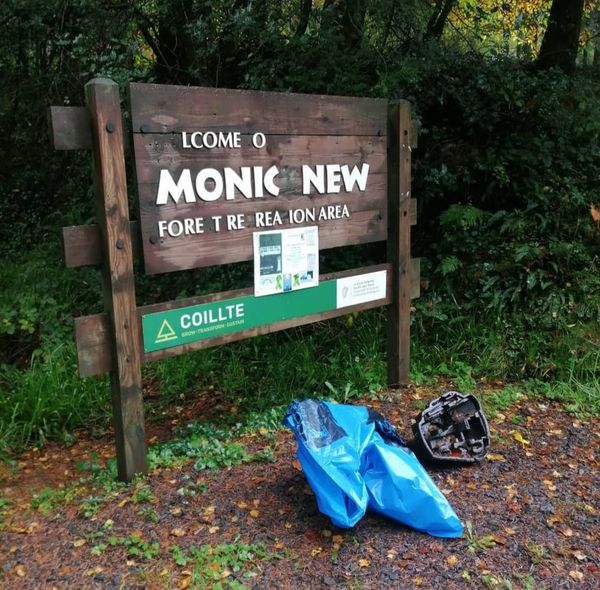 PartyForAnimalWelfare tweet media