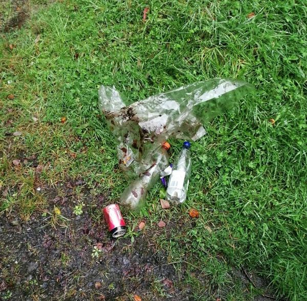 PartyForAnimalWelfare tweet media