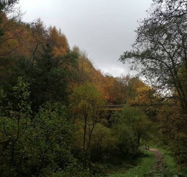 PartyForAnimalWelfare tweet media