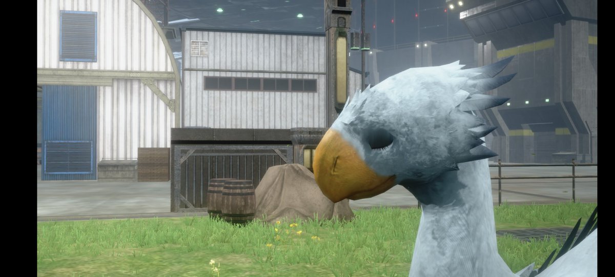 YUME_IOS's tweet image. Chocobo 🥰