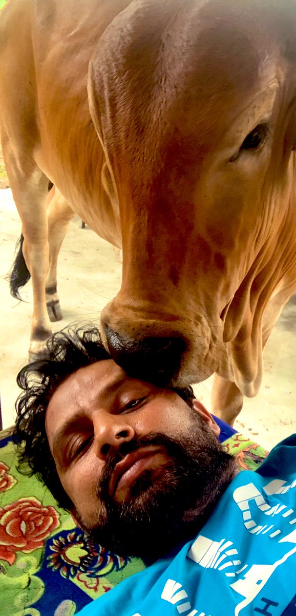 NaveenJaihind's tweet photo. ज़िंदगी को जितना मज़ाक़ में जियोग़े बड़िया रहेगा ।जितना गंभीरता से जियोगे गम्भीर रोगों से घिरोगे ।जितना दोस्तों के साथ हँसोगे ज़िंदगी उतनी हसीन होगी ओर जितना पेड़ पक्षी पशुओं ओर प्रकृति के साथ प्यार करोगे मौज में रहोगे।बाकी मर्ज़ी आपकी ।खुद का अनुभव है। ट्राई करके देखना दोस्तों🙏 https://t.co/o9XroumH5k