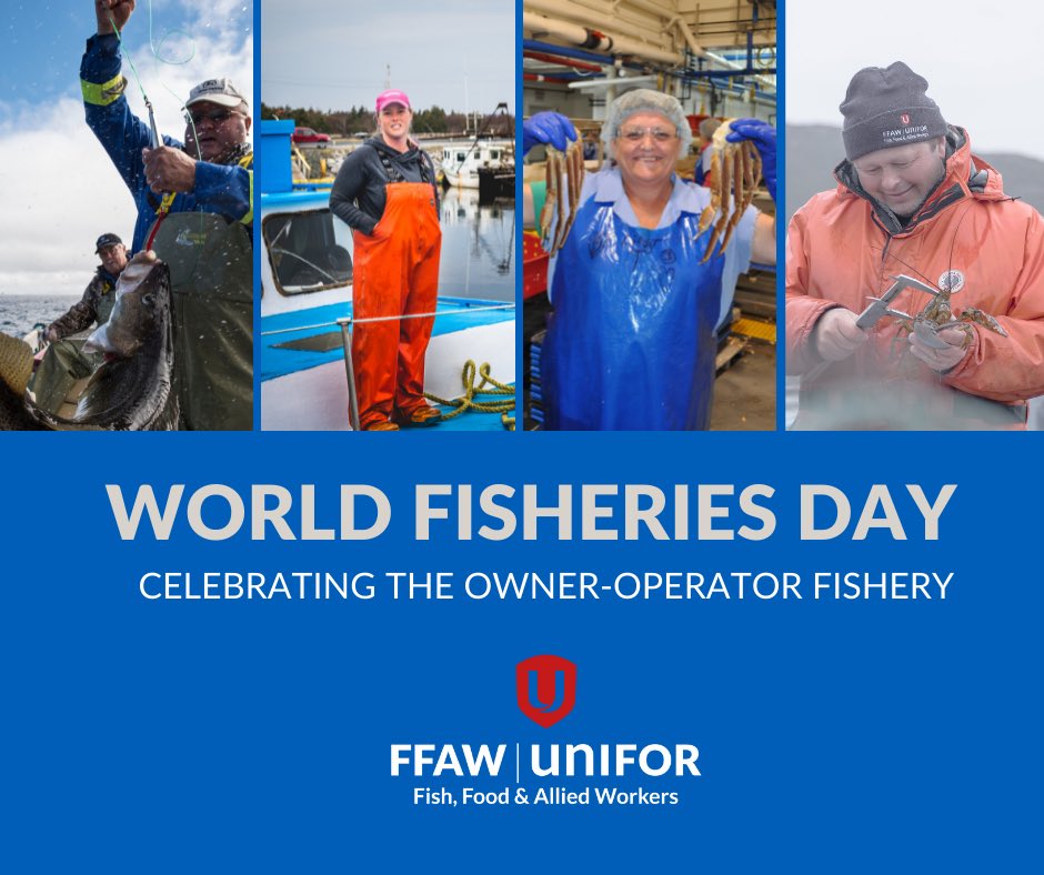 FFAW_Unifor's tweet image. On World Fisheries Day and every day, we are celebrating the people who believe in the fishery and are doing their part to protect the industry for generations to come. #WorldFisheriesDay #nlpoli