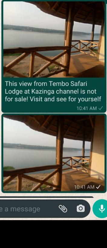 LodgeTembo's tweet photo. https://t.co/BacMpLXDas
