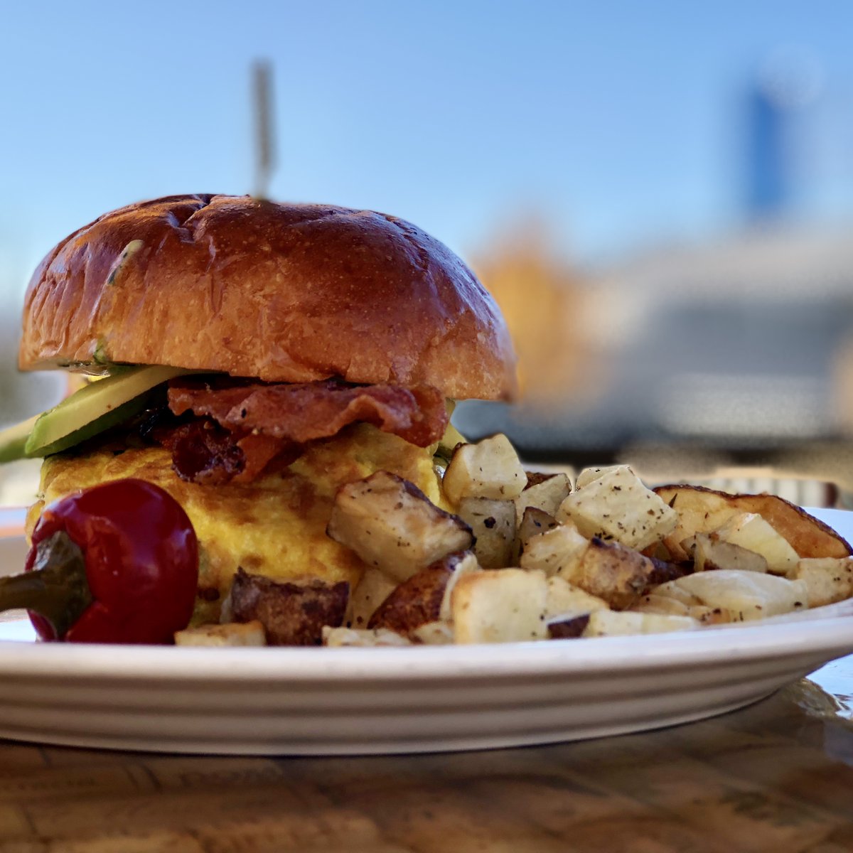 Stella OKC tweet media