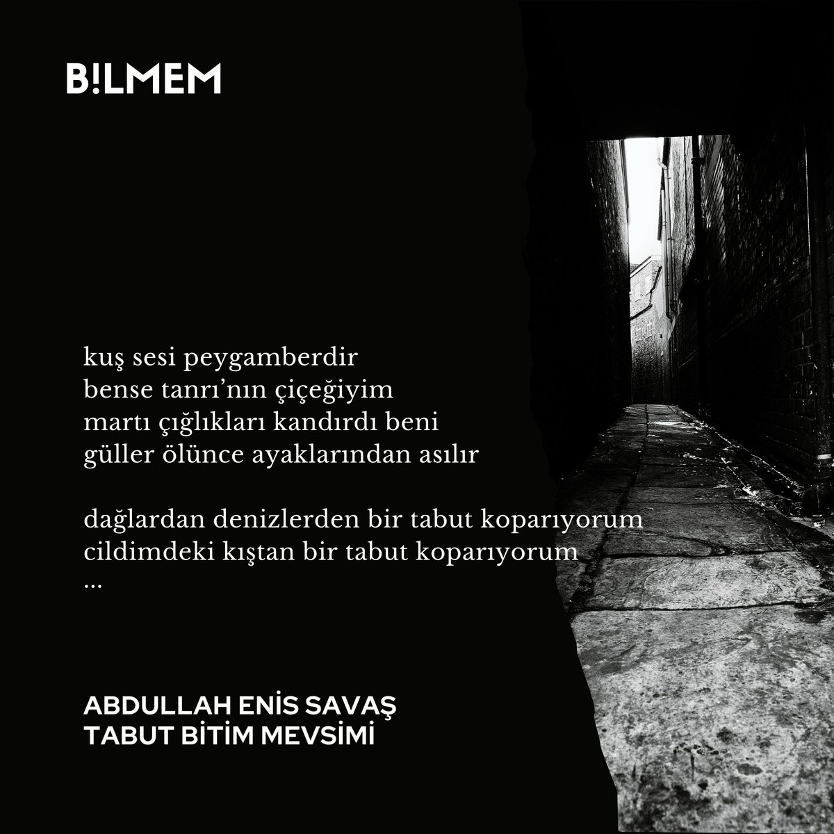 kuş sesi peygamberdir 
bense tanrı’nın çiçeğiyim 

ABDULLAH ENİS SAVAŞ

@aenissavas