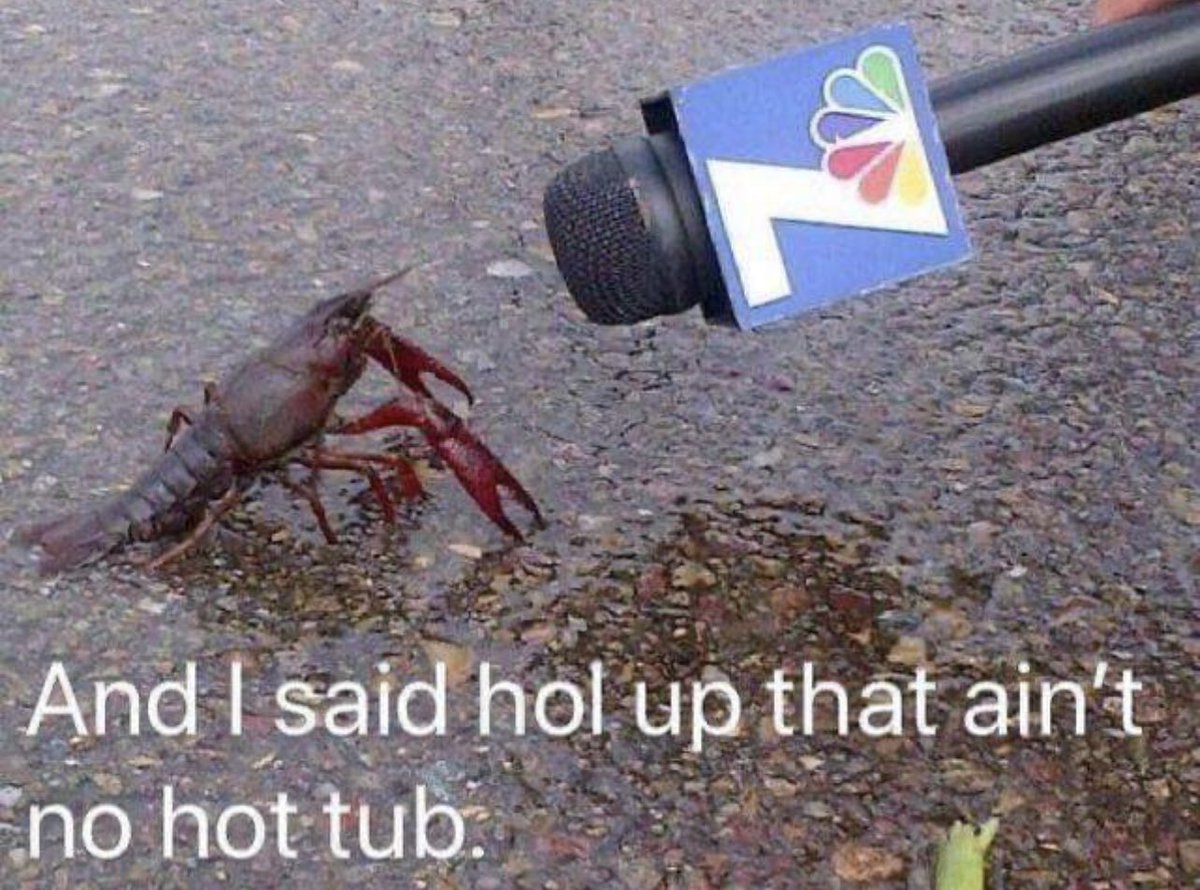 this still cracks me up
