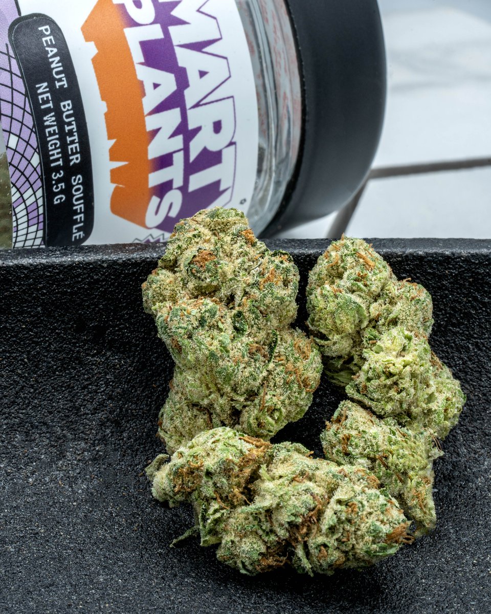 TheCornerlbc's tweet photo. Peanut Butter Souffle is a tasty indica-hybrid from @getsmartyplants. These frosty, chunky buds uplift your mood while calming your body. #theconerlbc https://t.co/Z0JstHKWO3