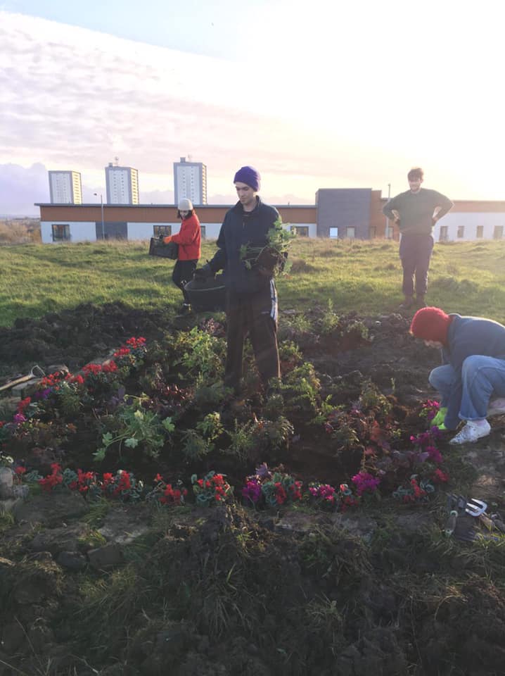 Yesterday we were hard at work planting some bedding plants in the valley's community garden! Chamomile went in the raised planters, so there’ll be tea for all soon enough... Lots more to do next weekend if anyone can get along! Meeting c1pm, at the Valley, every Saturday