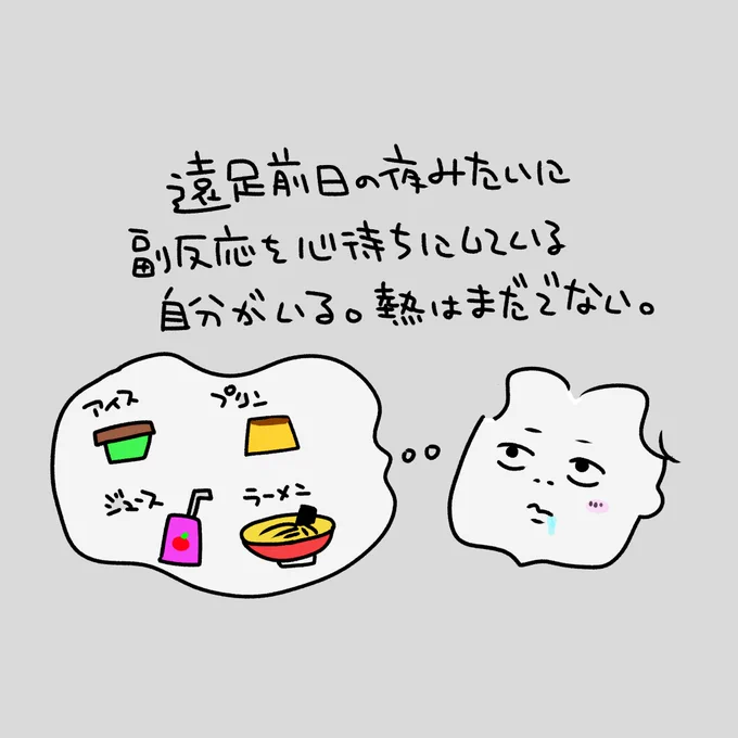 ワクチン2回目打ったので来たる副反応に備えて色々買った結果 