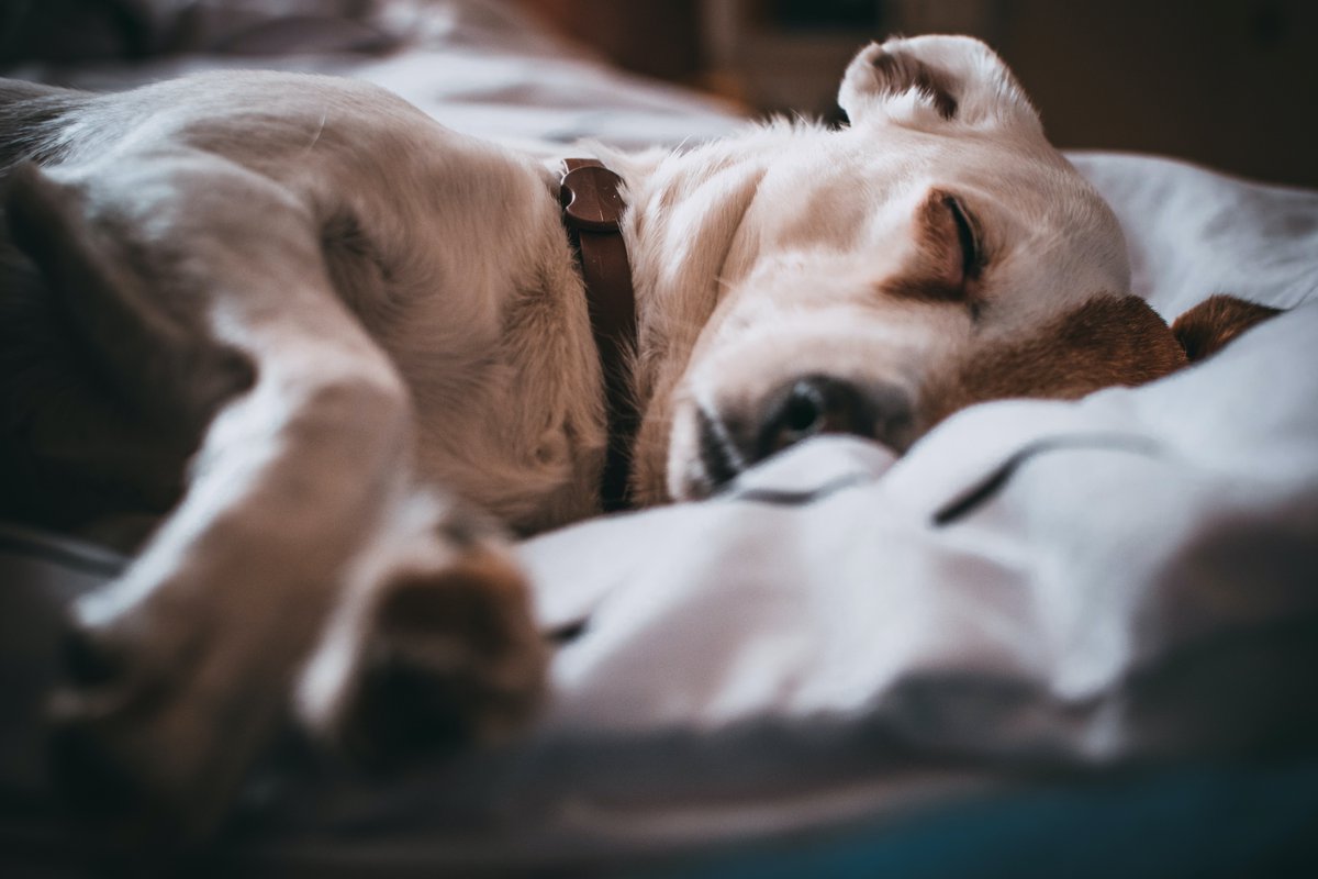 Want to save big on #EnergyCosts? Turn your heat down 5-10 degrees while you sleep to save up to 10% on heating costs. #GoingGreen
