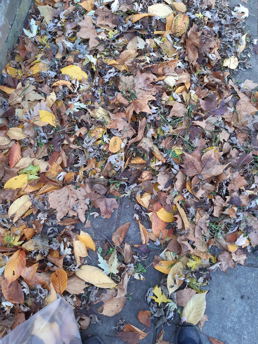 AnnBodkin's tweet photo. @andy_vauxhall Thanks @andy_vauxhall Yep, never bored of raking leaves. Bagged to go on the compost. Nice chat with street cleaner Frank, who said he was chatting with a man in Vauxhall about this too. Thought it must be you 👍🏻 #LeafBlowerFree #GreenTriangle #SE11 #MakeCompost #BloomingLambeth https://t.co/OomiltgKiV