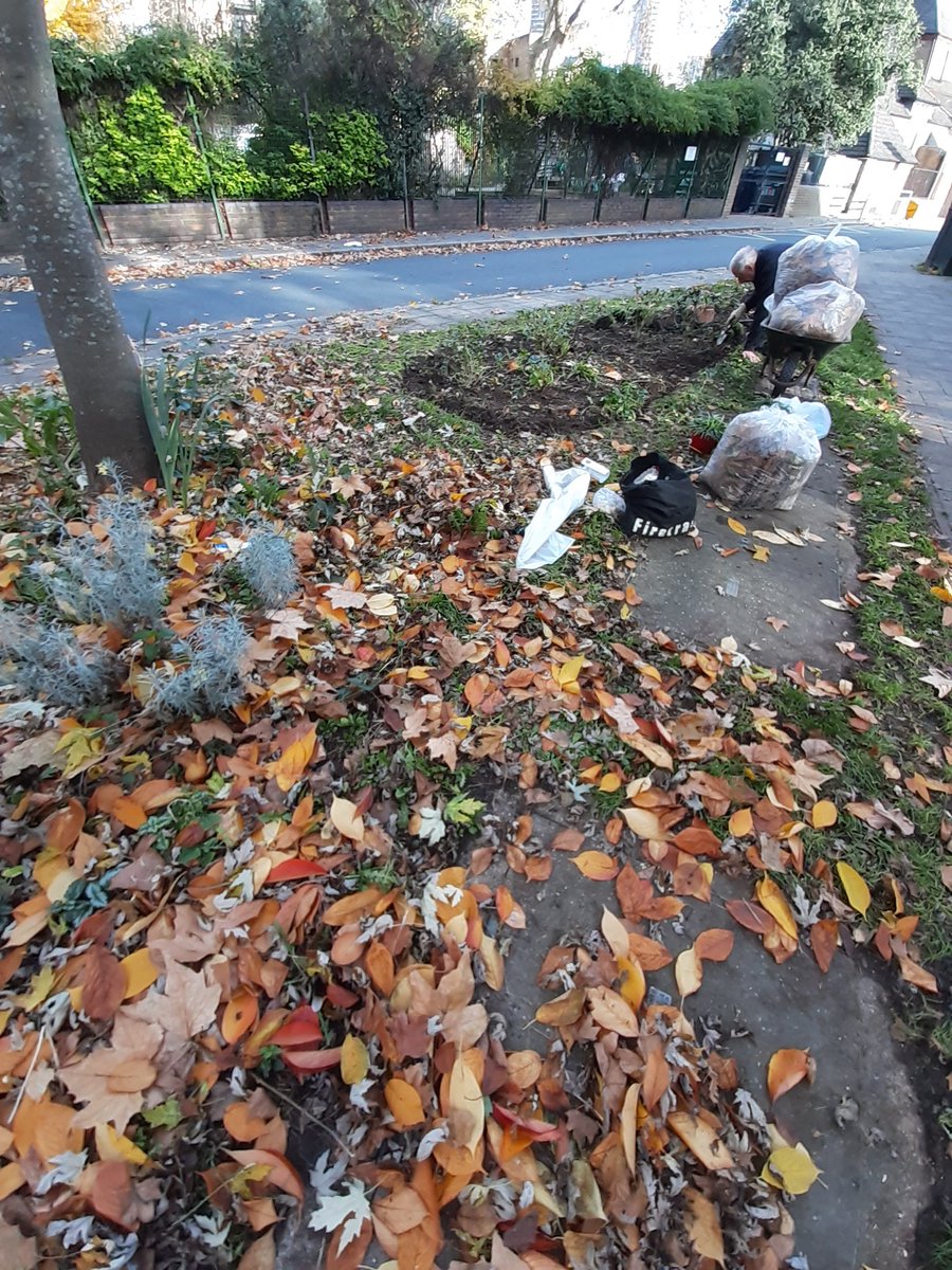 AnnBodkin's tweet photo. @andy_vauxhall Thanks @andy_vauxhall Yep, never bored of raking leaves. Bagged to go on the compost. Nice chat with street cleaner Frank, who said he was chatting with a man in Vauxhall about this too. Thought it must be you 👍🏻 #LeafBlowerFree #GreenTriangle #SE11 #MakeCompost #BloomingLambeth https://t.co/OomiltgKiV