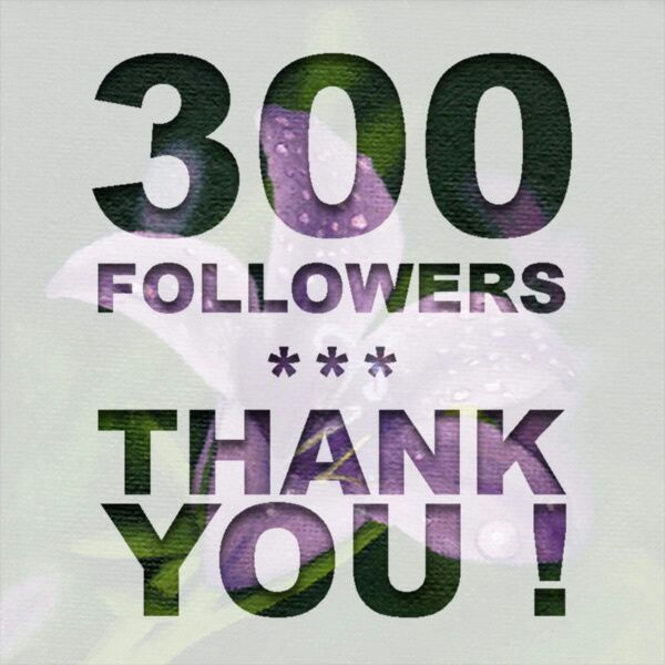 ReggieNicholas4's tweet photo. Thank you all so much for helping me get to 300 followers cheers lads. @AddidasS2G   @adeyemi_karim   @hermoso_S2g   @Liam_Delap2   @PatadeRajas   @Rafa_garcia345   @ReggieNicholas4   @itz_arsenio    @leonsadiku11   @NikeS2G   @Ferraris2g   @Youtube_S2g   @S2GFCInterview https://t.co/2hAtJpDGKz