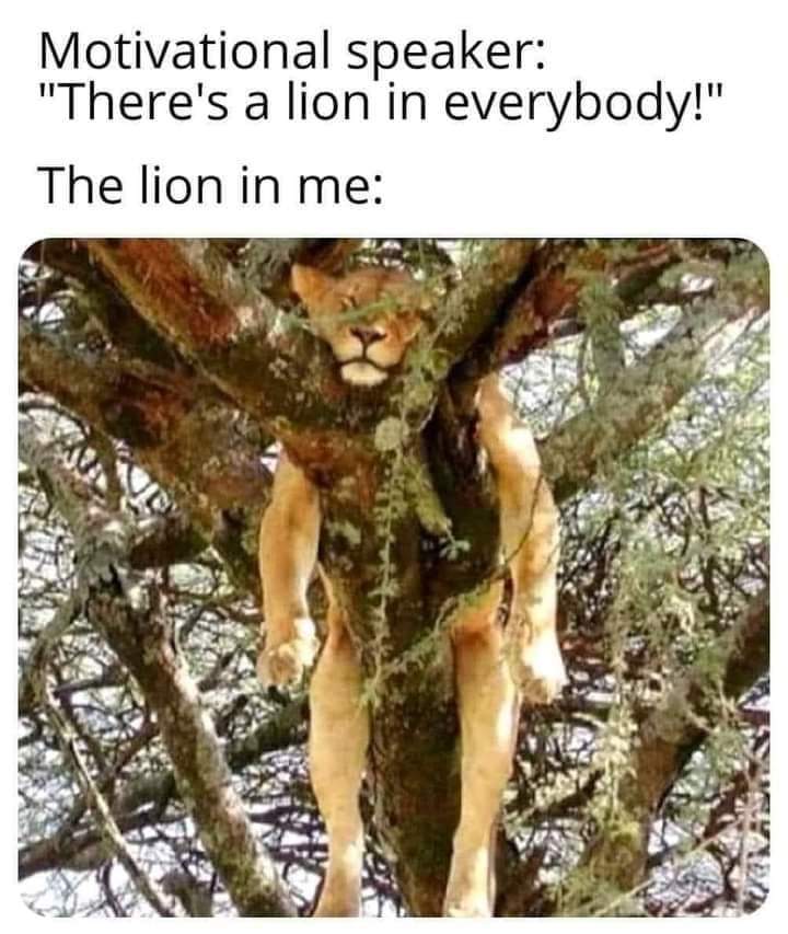 _scarlettflame_'s tweet photo. @wtf1official  #wtf1 #internetsbestreactions Ocon defending like a lion.... https://t.co/V16qgkkHRu