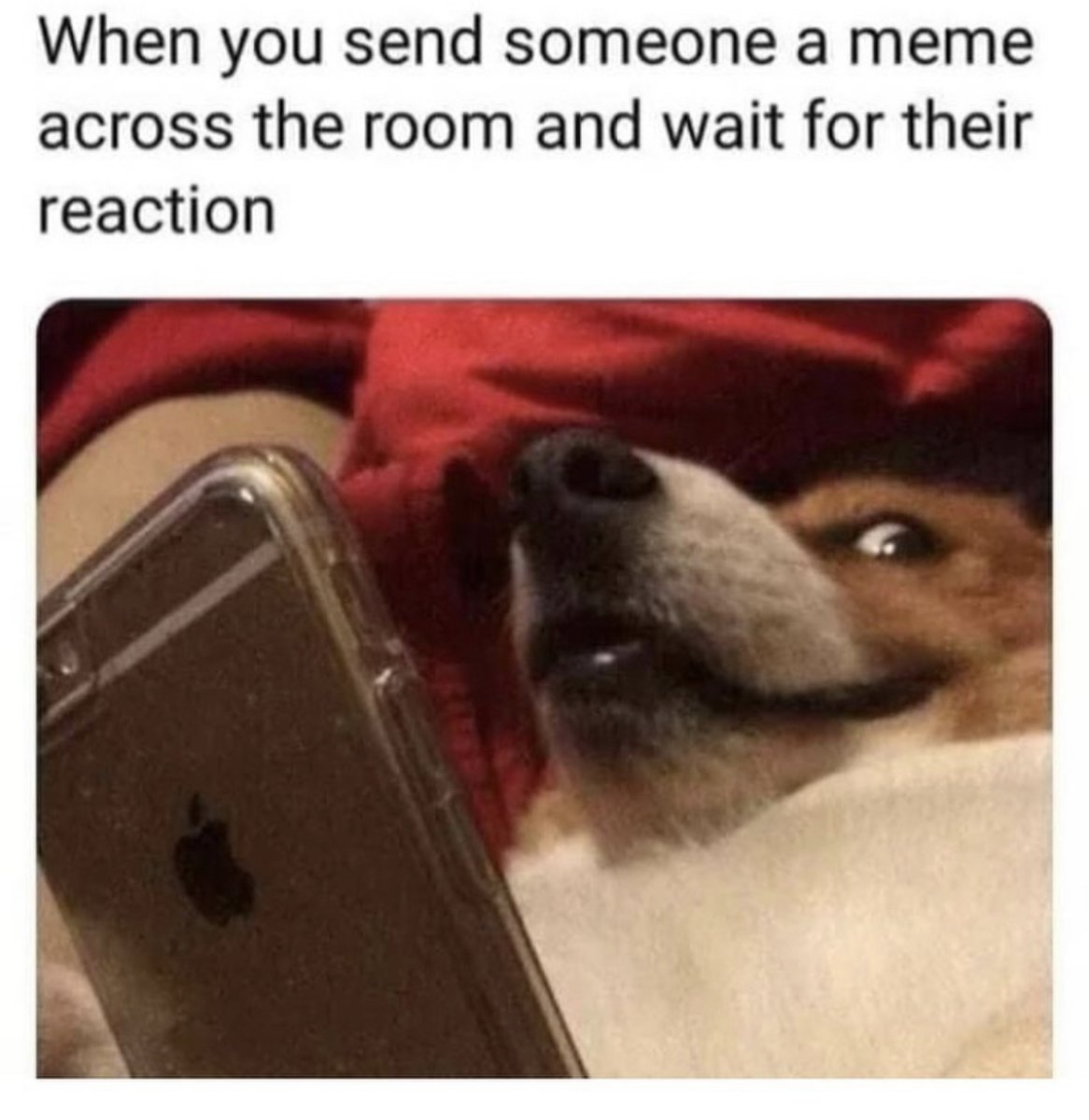 RespectfulMemes's tweet photo. https://t.co/g1PmRJSwN4