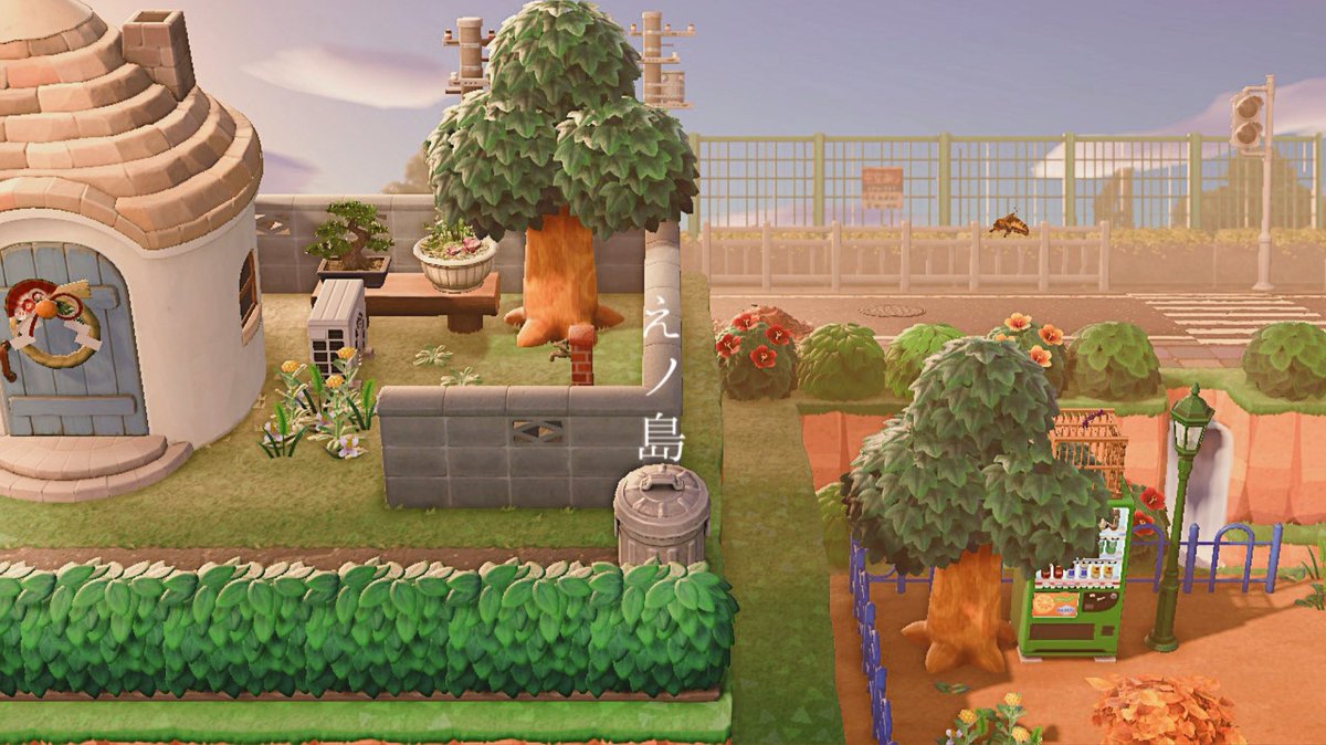 まさかのフォロワー1,000人、、、！！ありがとうございます🪴