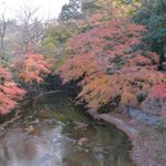 konta2のツイート画像