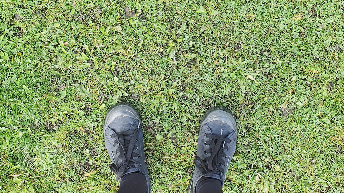 alison_unsworth's tweet photo. I recently decided to explore my longstanding interests of art, design, nature, urban walking, and public space from a new perspective, and am now 9 weeks into studying Master of Landscape Architecture @NewcastleUniAPL #careerpivot #landscape https://t.co/QsEHAgXdcZ